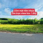 Bán đất mặt tiền 348m2 Đất Đỏ, Cần Giờ - 1 tỷ 600 - Ảnh thu nhỏ 1