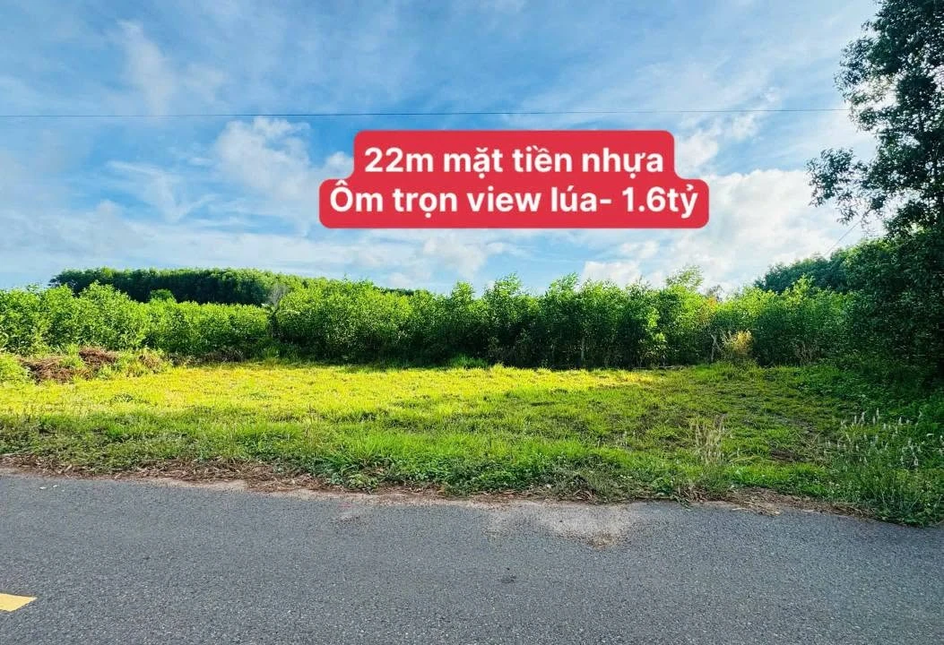 Bán đất mặt tiền 348m2 Đất Đỏ, Cần Giờ - 1 tỷ 600 - Ảnh 1