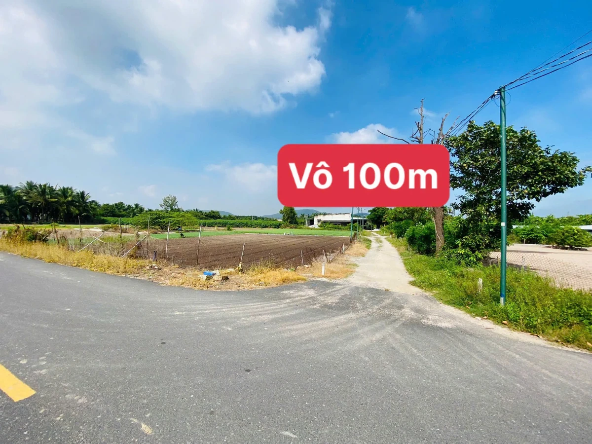 Bán đất vườn 1046m² xã Phước Hải Nhà Bè 2 tỷ - Ảnh thu nhỏ 3