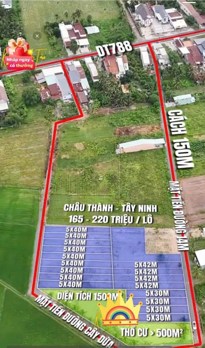 Bán đất nền 5x30m Ấp Chòm Dừa Châu Thành Tây Ninh - Ảnh thu nhỏ 4