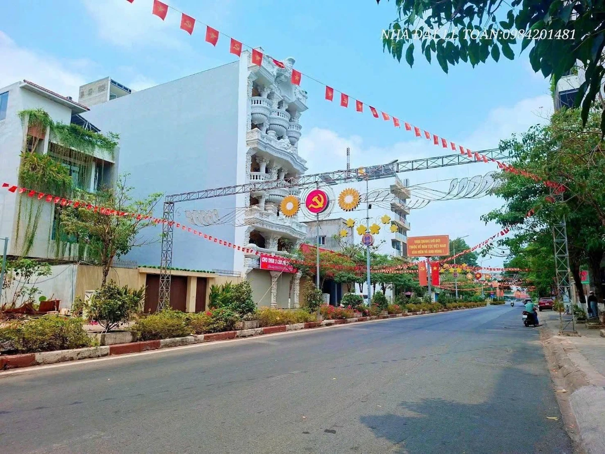 Bán biệt thự 250m2 đường số 9 khu trung tâm hành chính Dĩ An, Bình Dương - Ảnh thu nhỏ 3