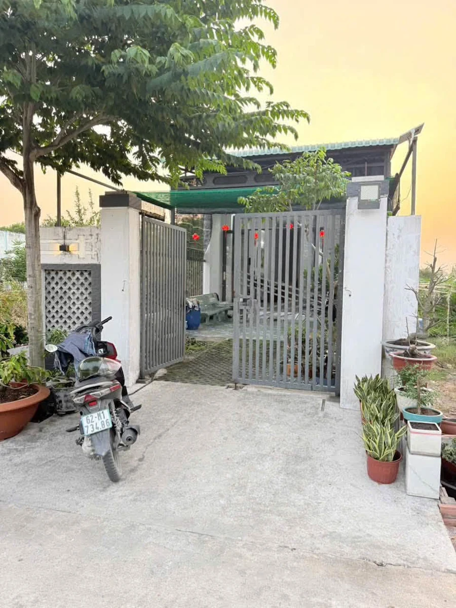 Nhà cấp 4 mặt tiền kỹ đường 202m² Trần Văn Thôi Cần Giuộc - Ảnh thu nhỏ 2