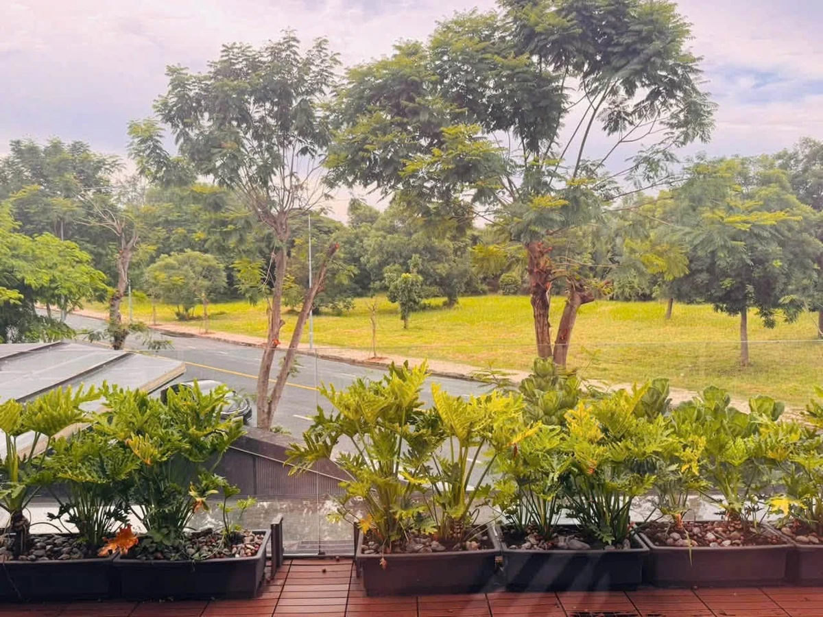 Bán biệt thự góc 2 mặt tiền 392m² Hưng Thái 1 Phú Mỹ Hưng - Ảnh thu nhỏ 4