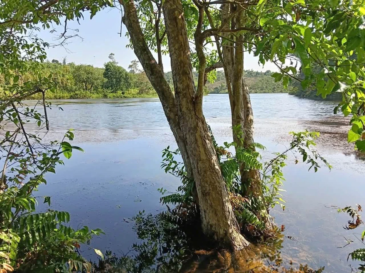 Bán 5ha đất vườn view hồ giá 11 tỷ tại Nhân Cơ, Đắk Nông - Ảnh thu nhỏ 2