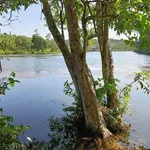 Bán 5ha đất vườn view hồ giá 11 tỷ tại Nhân Cơ, Đắk Nông - Ảnh thu nhỏ 2