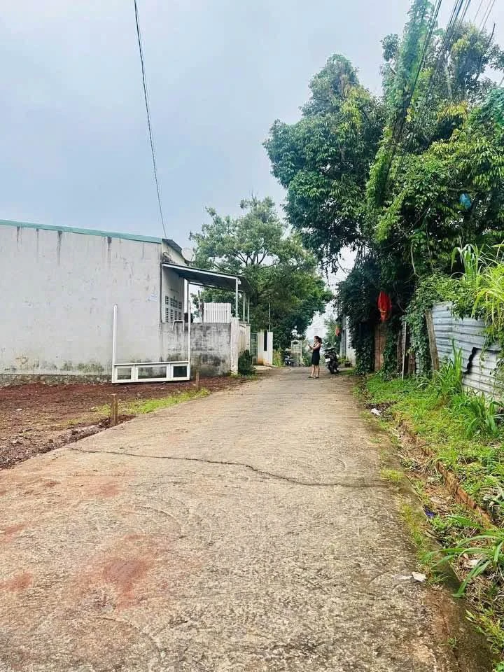 Bán đất góc 84m² Trần Quý Cáp, Bình Tân 2,99 tỷ - Ảnh 1