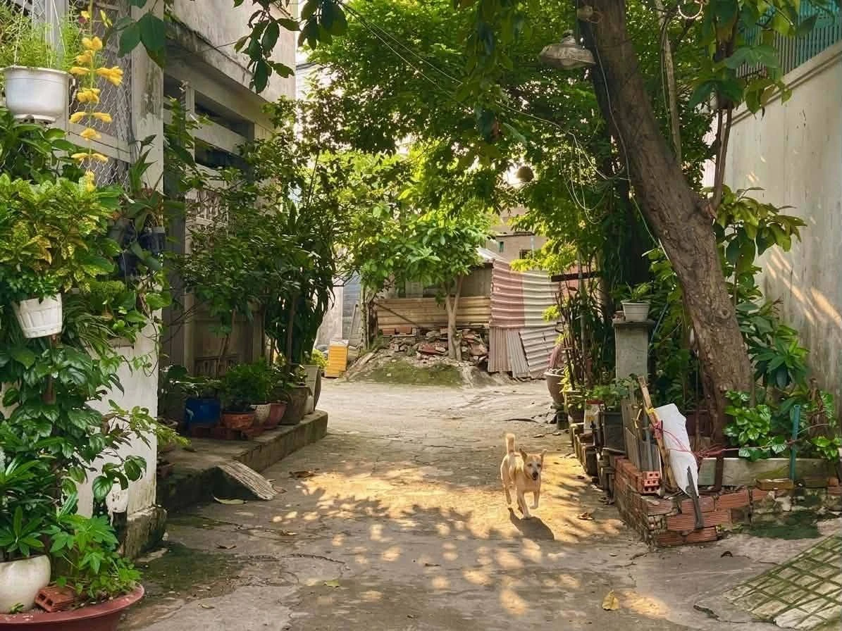 Bán nhà 75,6m2 đường Chu Văn An, Bình Thạnh giá 8,95 tỷ - Ảnh thu nhỏ 5
