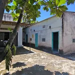 Bán đất Lê Thị Hồng Gấm 256m² ngang 9m Phan Thiết - Ảnh thu nhỏ 2