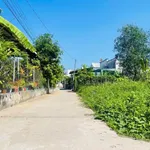 Bán đất 100m2 đường Lý Thái Tổ Phường Nhơn Trạch 950 triệu - Ảnh thu nhỏ 1