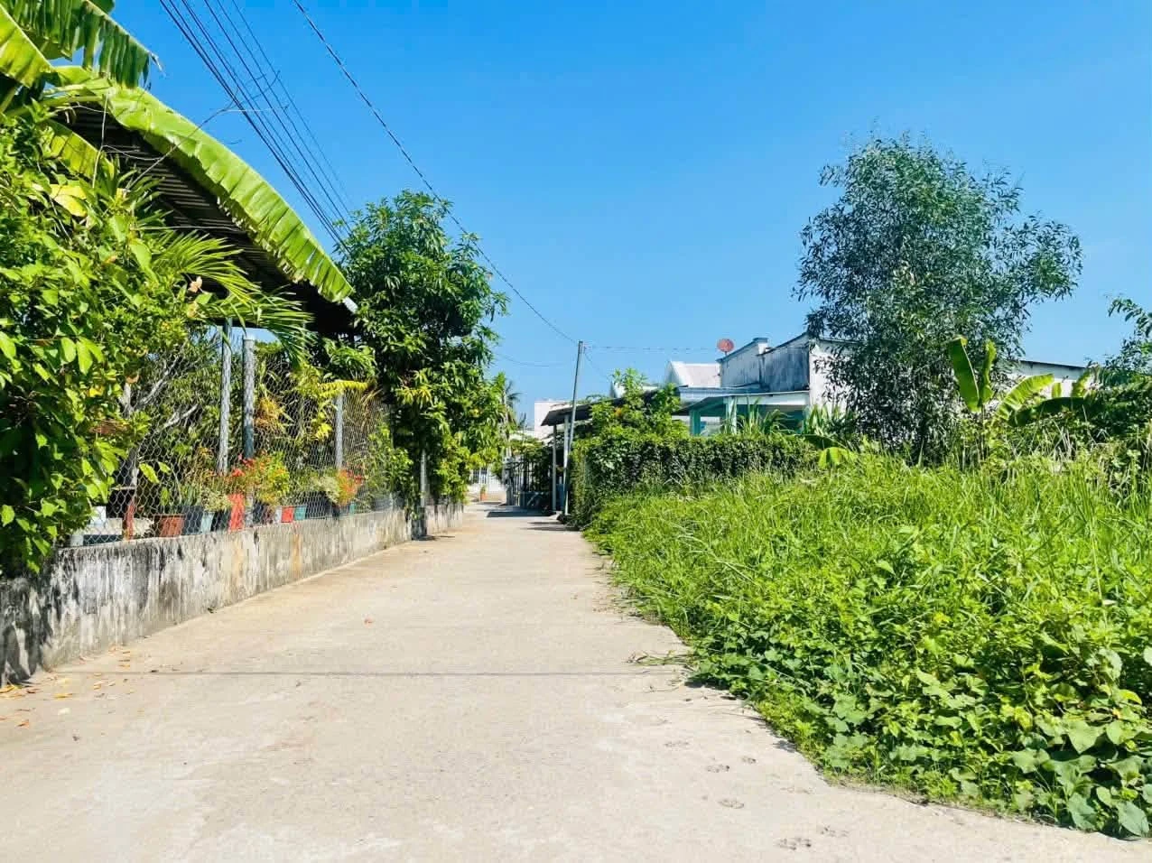 Bán đất 100m2 đường Lý Thái Tổ Phường Nhơn Trạch 950 triệu - Ảnh 1