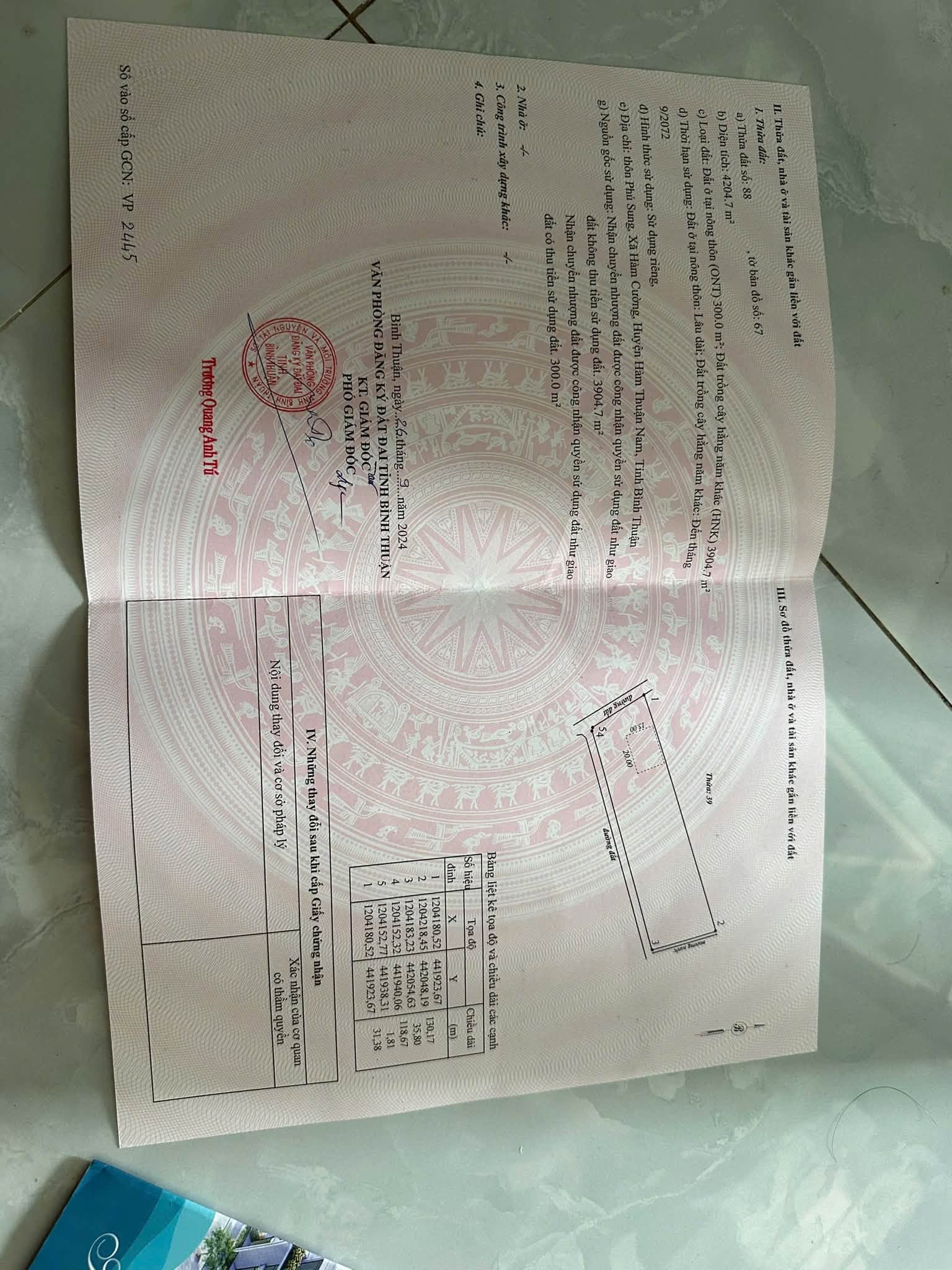 Bán lô đất cây trồng 8 sào 8 Hàm Cường, Bình Thuận 4,2 tỷ - Ảnh thu nhỏ 4