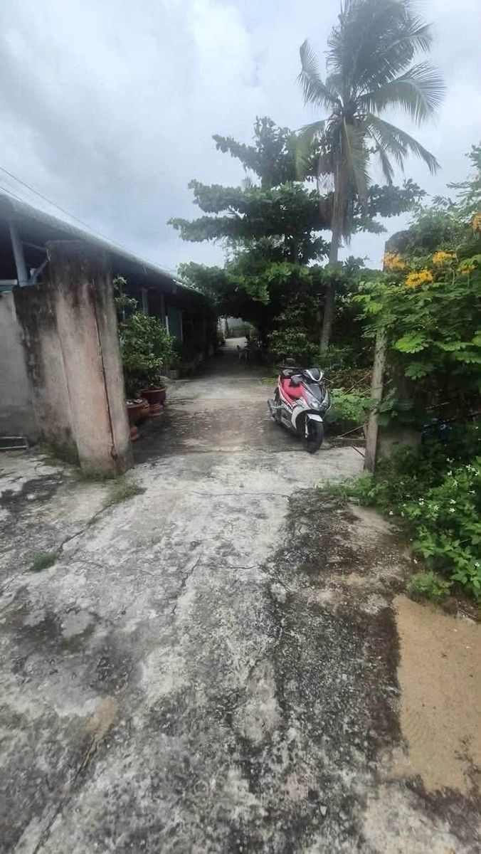 Bán nhà đất thổ cư 1100m2 Tân Long An giá 2 tỷ - Ảnh thu nhỏ 4