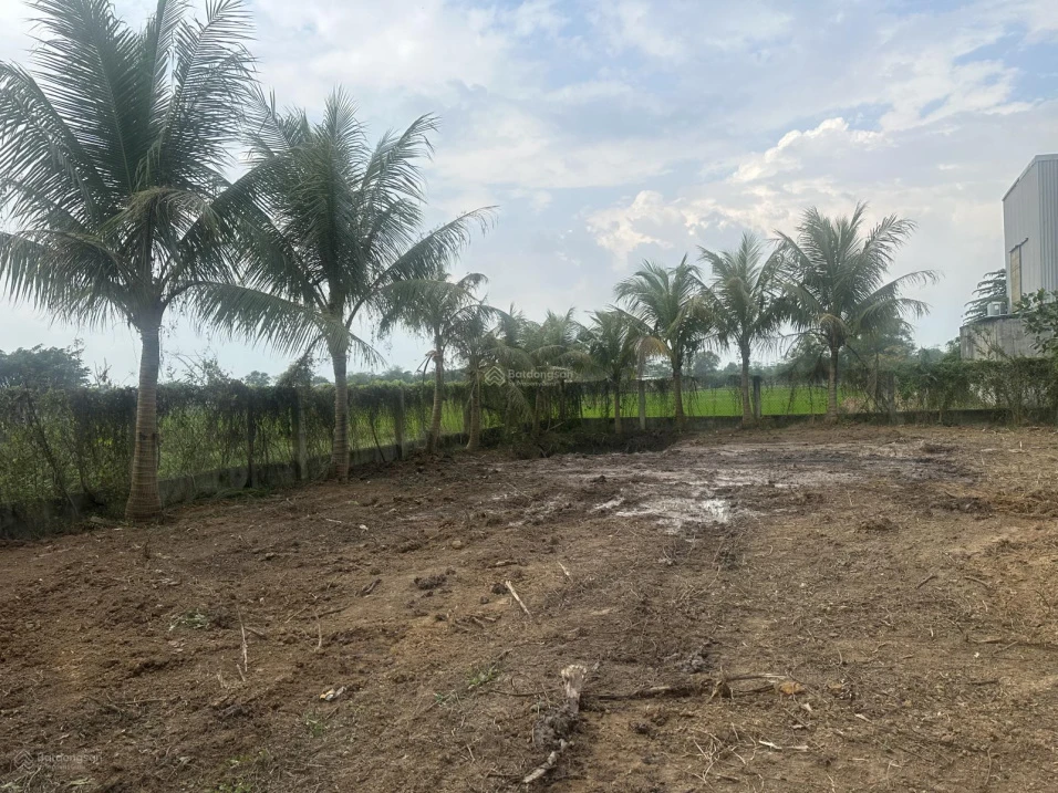Bán đất tại Giồng Lớn, 7,5 triệu / m2, thổ cư 100%, view đẹp. - Ảnh thu nhỏ 3