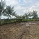 Bán đất tại Giồng Lớn, 7,5 triệu / m2, thổ cư 100%, view đẹp. - Ảnh thu nhỏ 3