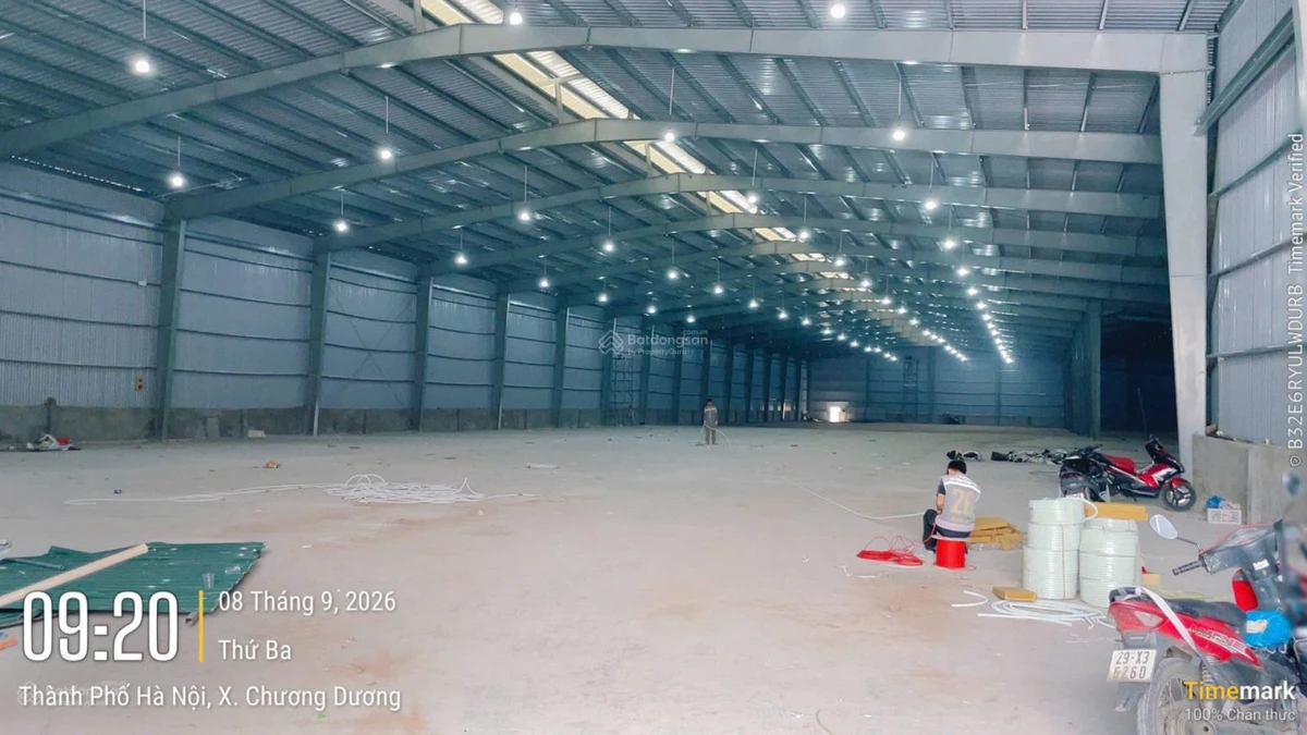 Cho thuê kho xưởng 5.500m2, PCCC tự động gần QL1A Thắng Lợi, huyện Thường Tín, Hà Nội - Ảnh thu nhỏ 4