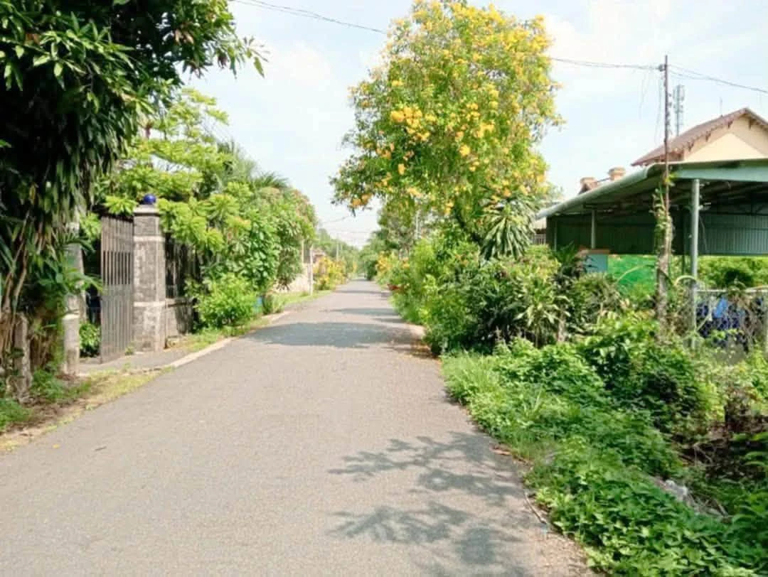 Bán lô đất 300m² xây biệt thự Phú An, Bình Dương 3.4 tỷ - Ảnh thu nhỏ 5