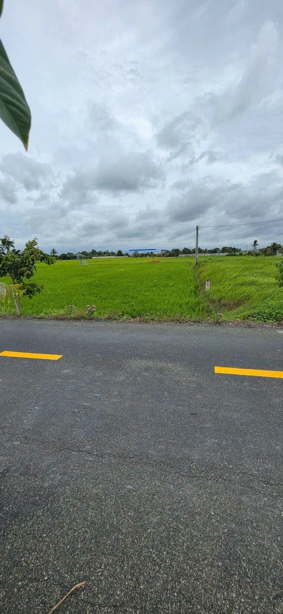 Bán 1000m² đất thổ cư Mỹ Lệ, Cần Dước 3,8 tỷ - Ảnh thu nhỏ 2