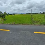 Bán 1000m² đất thổ cư Mỹ Lệ, Cần Dước 3,8 tỷ - Ảnh thu nhỏ 2