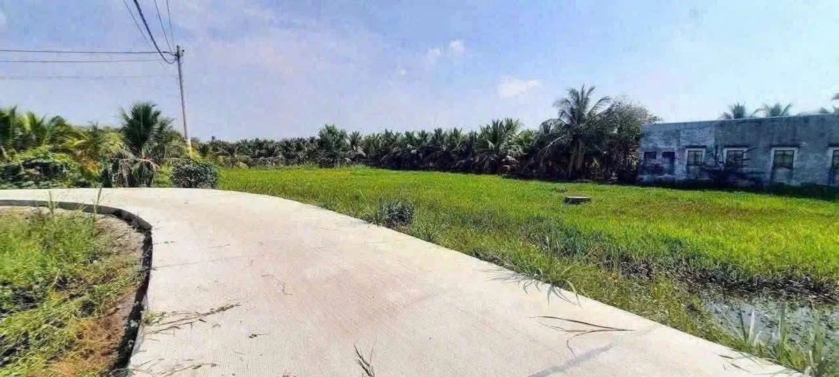 Bán đất vườn 2.112m² Tân An Long An giá 3 tỷ - Ảnh thu nhỏ 5