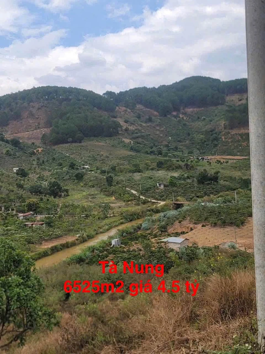 Bán đất rộng 6525m² view đẹp Tà Nung Đà Lạt 4.5 tỷ - Ảnh 1