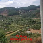 Bán đất rộng 6525m² view đẹp Tà Nung Đà Lạt 4.5 tỷ - Ảnh thu nhỏ 1