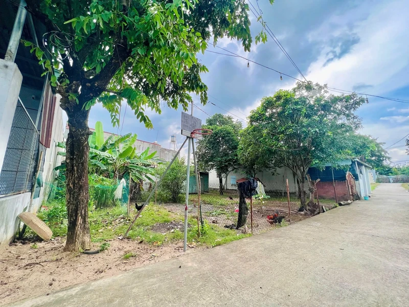 Bán đất 150m² Bờ Kè Bửu Long giá 350 triệu
