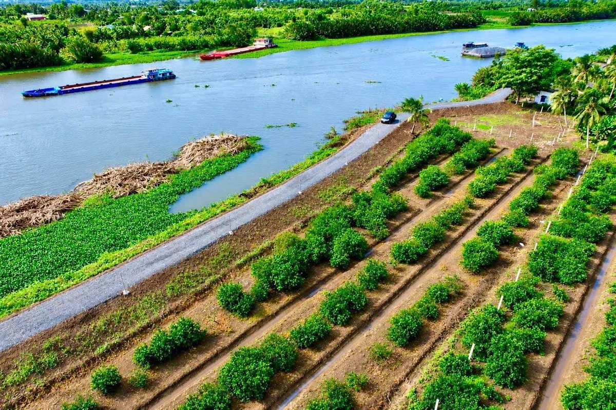 Bán lô góc 2 mặt tiền view sông 690m² Bến Lức - Ảnh thu nhỏ 2