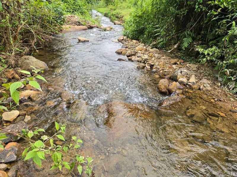 Bán 12.000m² đất bám suối Đà Bắc Hòa Bình 5 tỷ