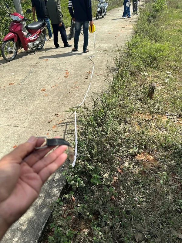 Bán đất 500m² hơn 300 triệu ở Phan Thiết