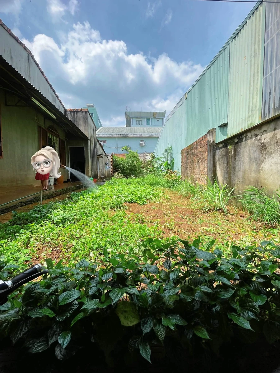Bán đất nền trung tâm Pleiku 261m² - 3 tỷ - Ảnh thu nhỏ 2
