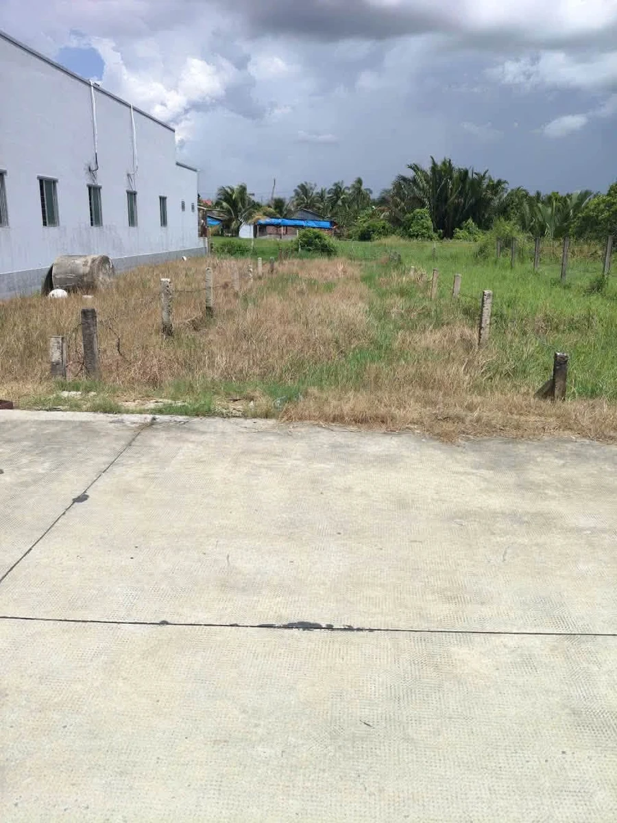 Bán lô thổ cư 164m² Áp Bình Tây, Tân Trụ, Long An - Ảnh thu nhỏ 3
