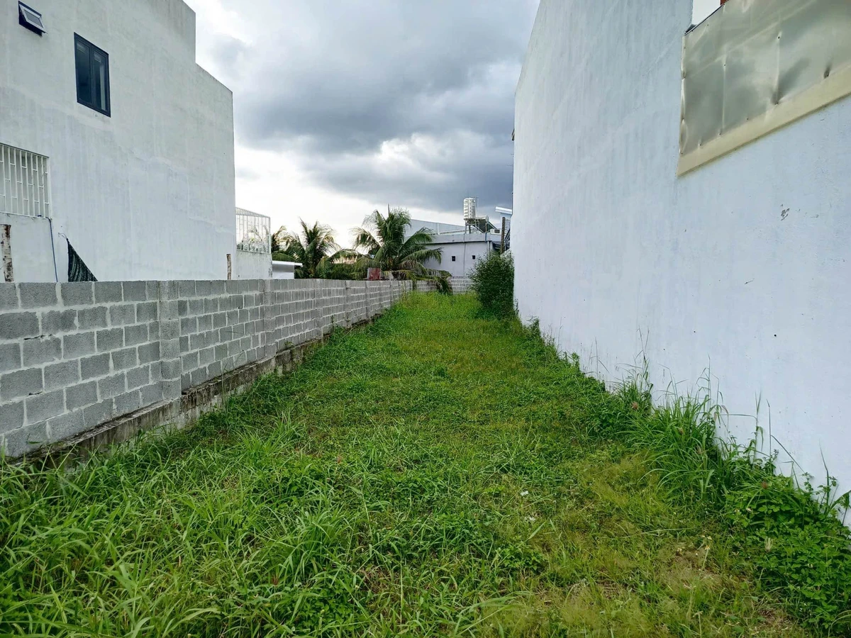 Bán lô đất 175m2 mặt tiền Nhựa Trung Thành Nam, Lâm Đồng - Ảnh thu nhỏ 2
