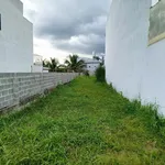 Bán lô đất 175m2 mặt tiền Nhựa Trung Thành Nam, Lâm Đồng - Ảnh thu nhỏ 2
