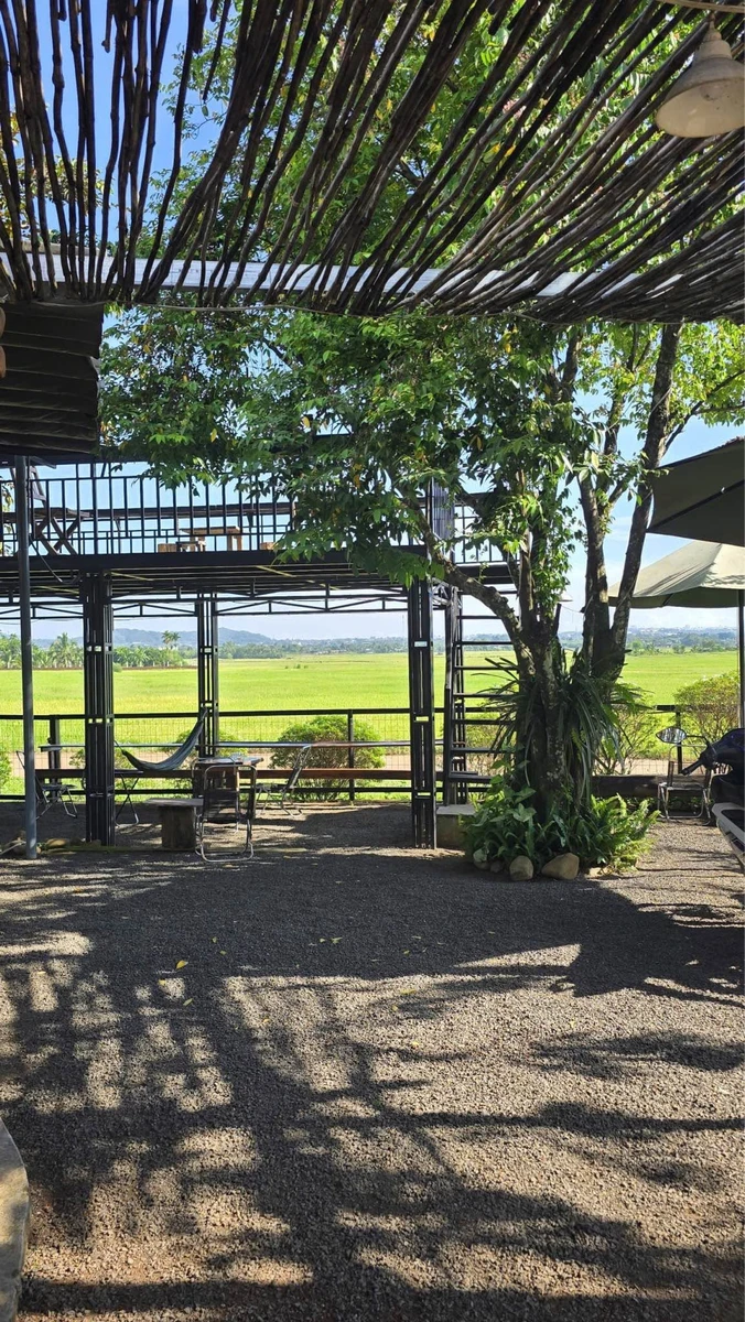 Bán đất 233m2 có quán cafe view ruộng Buôn Ma Thuột 1 tỷ 790 - Ảnh thu nhỏ 4