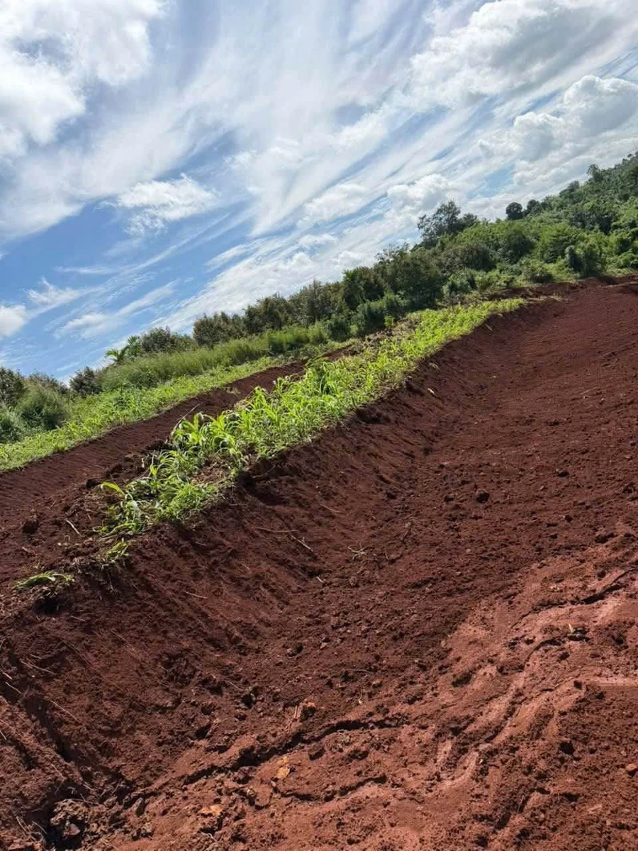 Bán 10.000m² đất Đắk Lắk Cư Mgar EaPok - Ảnh 1