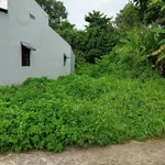Bán đất nền Châu Thành Kiên Giang 105m² 260 triệu - Ảnh thu nhỏ 2