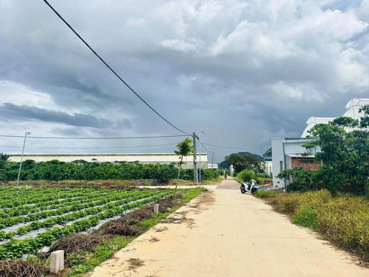 Bán đất Đức Trọng Lâm Đồng 72-76m² 499-599 triệu - Ảnh thu nhỏ 2