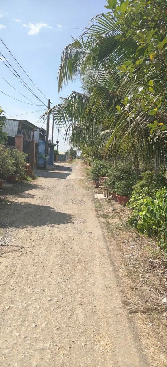 Bán lô đất 200m² thổ 100% SHR Xã Mỹ Hạnh - Ảnh 1
