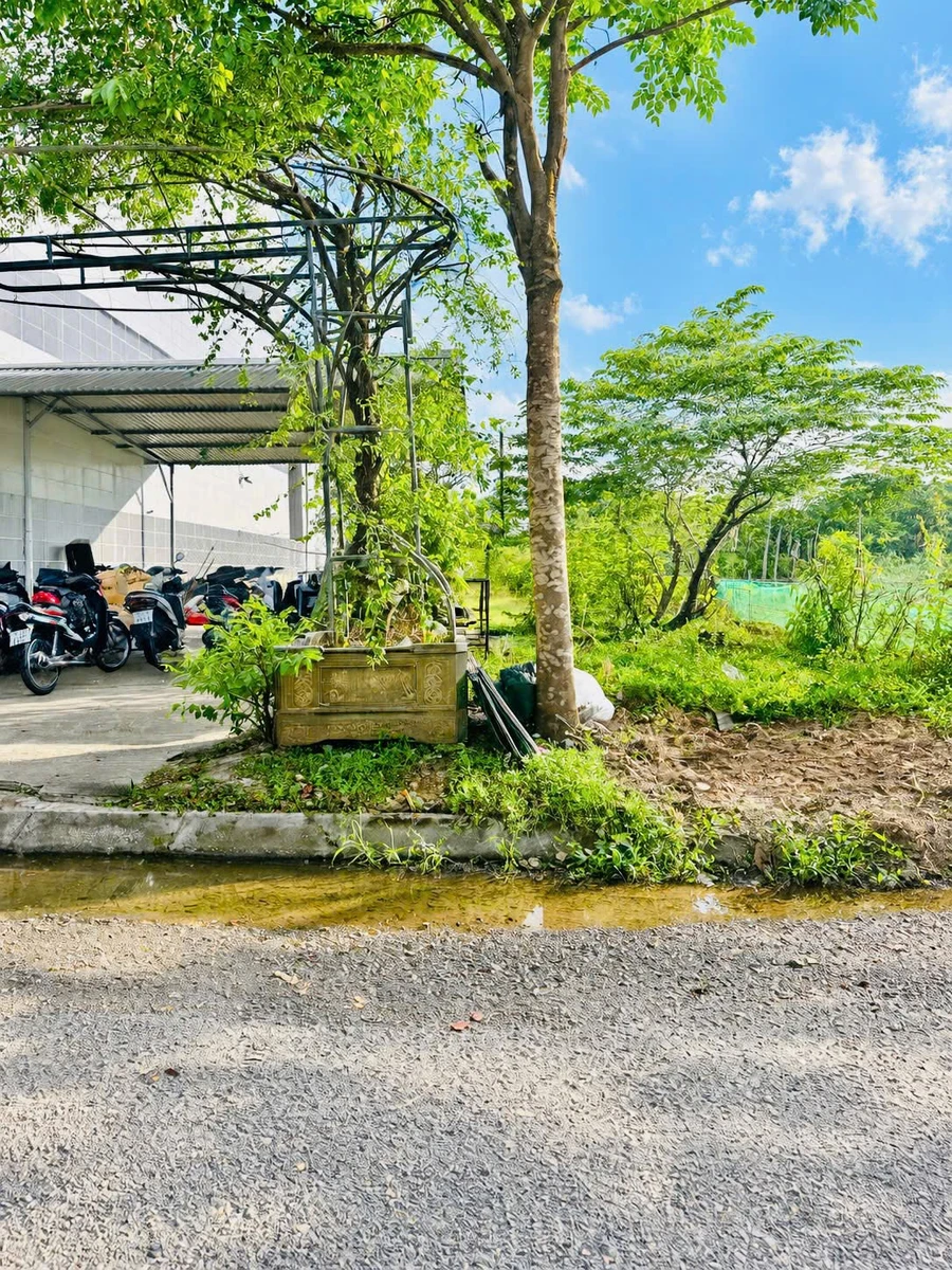 Bán đất mặt tiền 157m² KQH Thanh Lam, Huế 1,99 tỷ - Ảnh 1