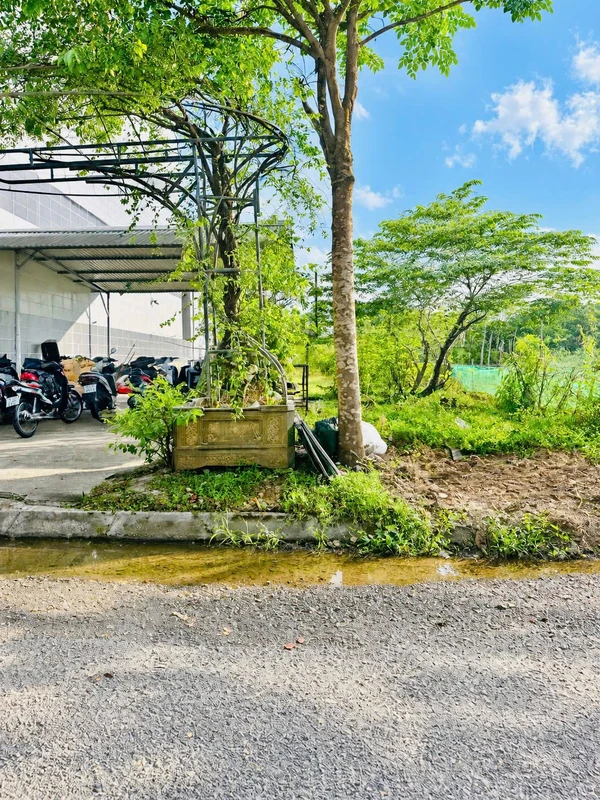 Bán đất mặt tiền 157m² KQH Thanh Lam, Huế 1,99 tỷ