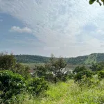 Bán đất view hồ Đắk Tik, 1500m2 - Ảnh thu nhỏ 12