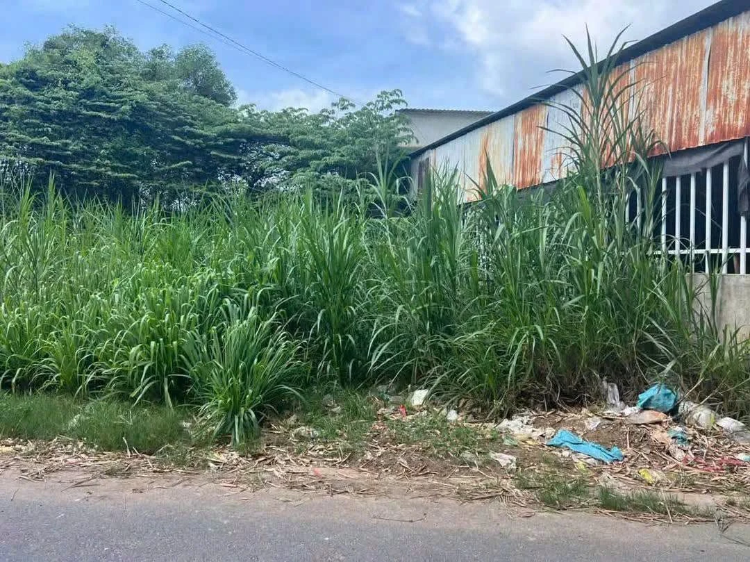 Bán đất thổ cư 115m² Bến Cát Bình Dương 1 tỷ 1 - Ảnh thu nhỏ 2