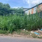 Bán đất thổ cư 115m² Bến Cát Bình Dương 1 tỷ 1 - Ảnh thu nhỏ 2