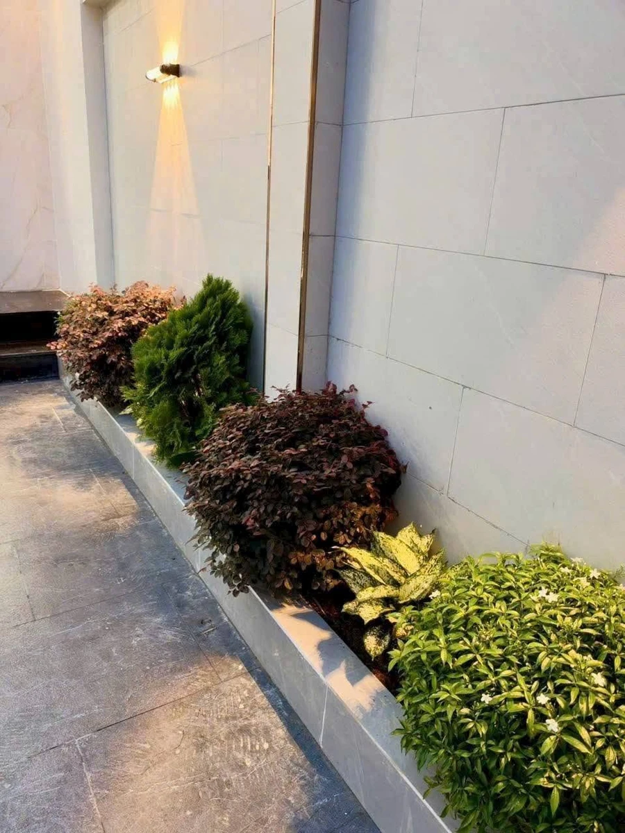 Bán nhà mới xây 1 trệt 1 lầu 135m2, 3PN, đường bê tông 5m gần Trần Hưng Đạo, Long Điền - Ảnh thu nhỏ 3