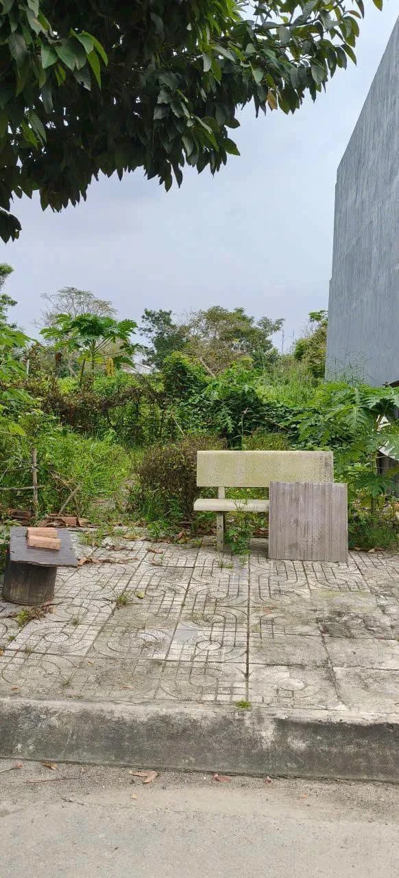 Bán đất Diamond City 103m² sổ riêng 100% thổ cư, giá 1 tỷ 3 - Ảnh 1