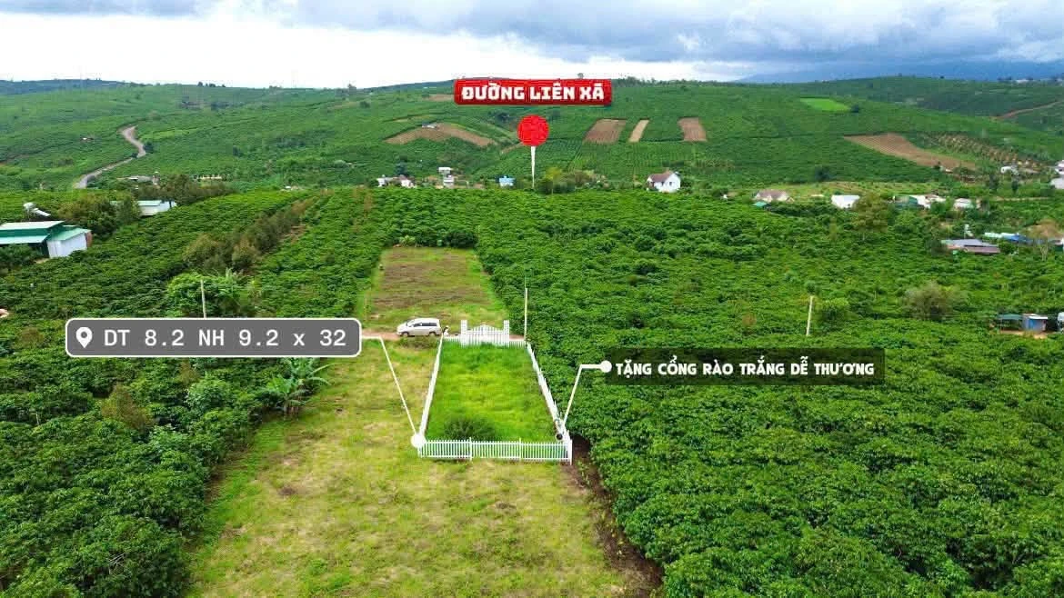 Bán đất thổ cư 91m2 giá 709 triệu gần QL28, Di Linh, Lâm Đồng - Ảnh thu nhỏ 3