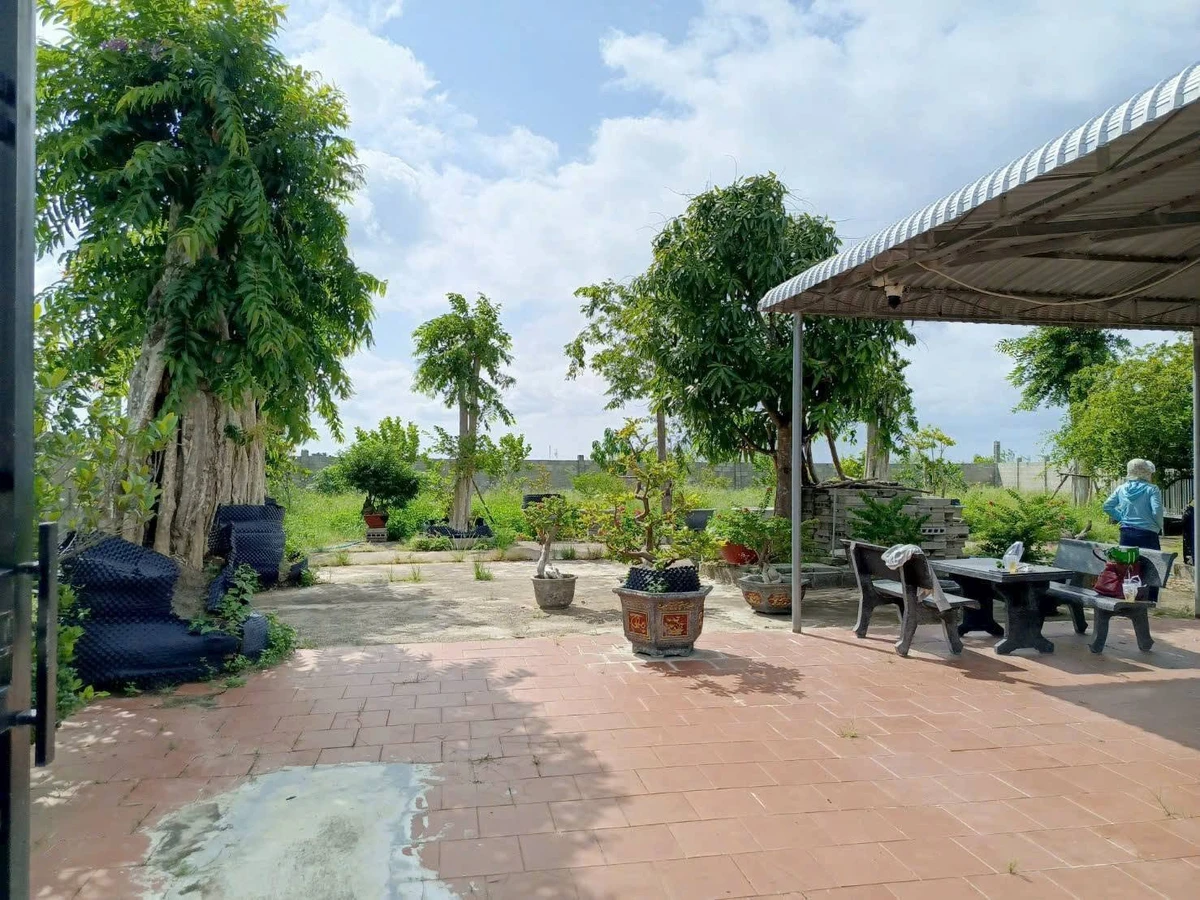 Bán nhà vườn 977m² Xã Hàm Liêm, Lâm Đồng 950 triệu - Ảnh thu nhỏ 2