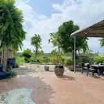 Bán nhà vườn 977m² Xã Hàm Liêm, Lâm Đồng 950 triệu - Ảnh thu nhỏ 2