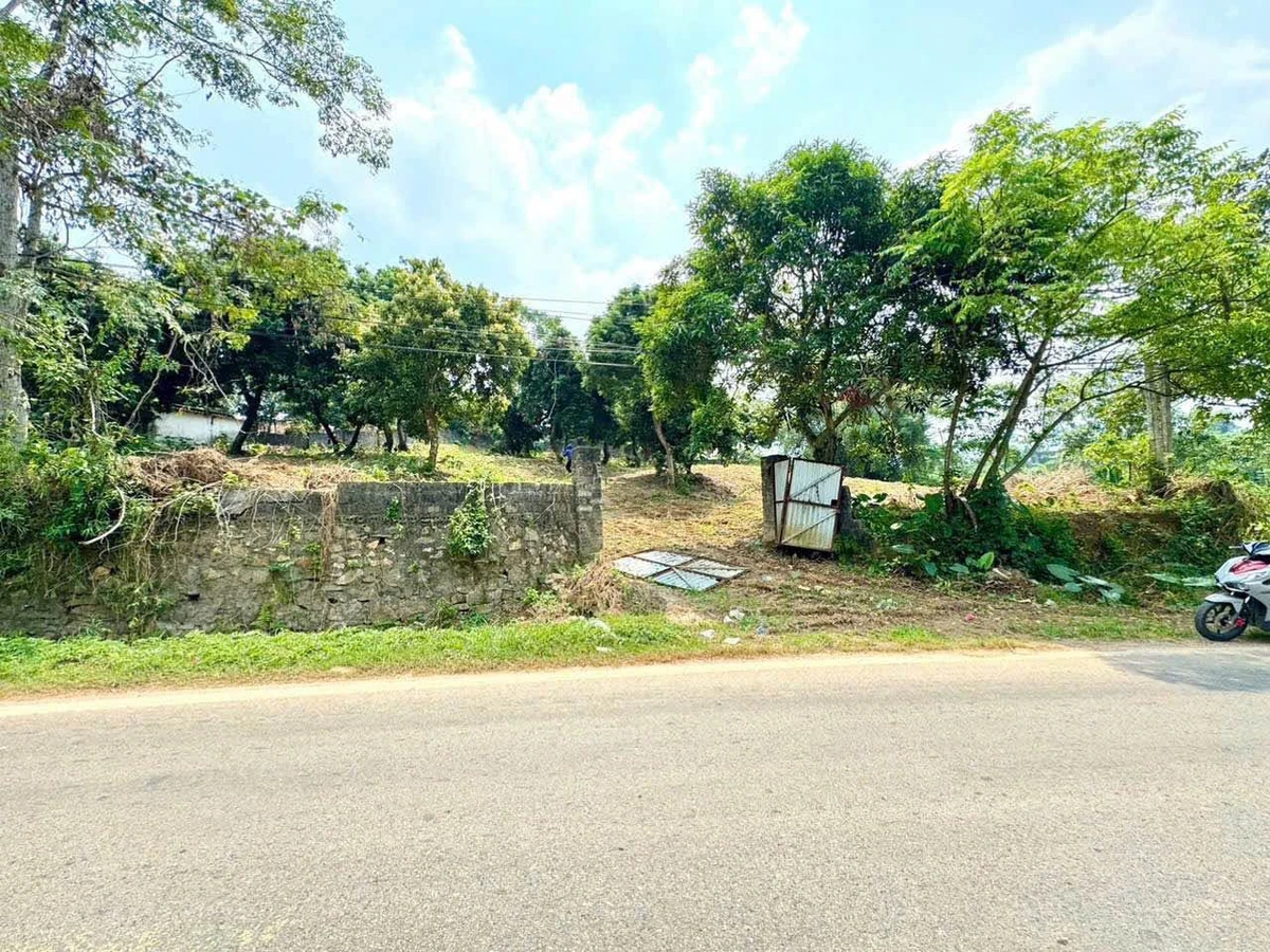 Bán lô góc 2 mặt tiền 2229m² Nhuân Trạch Hòa Bình 20 tỷ - Ảnh thu nhỏ 3