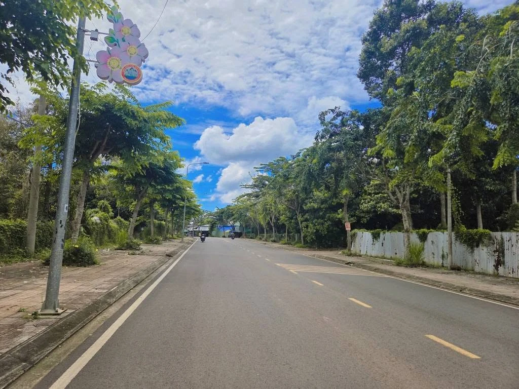 Bán đất mặt tiền Lê Hồng Phong Long Khánh 484m² 6.6 tỷ - Ảnh thu nhỏ 2